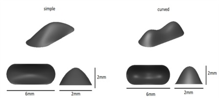 https://www.amajournal.com/f/fulltexts/220042/j_ama-2025-0025_fig_004_01_min.jpg