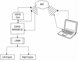 https://www.amajournal.com/f/fulltexts/221933/j_ama-2026-0049_fig_001_01_min.jpg