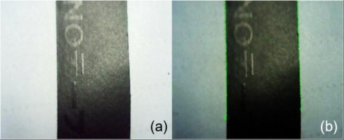 https://www.amajournal.com/f/fulltexts/221933/j_ama-2026-0049_fig_011_01_min.jpg