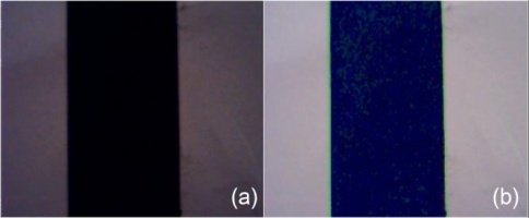 https://www.amajournal.com/f/fulltexts/221933/j_ama-2026-0049_fig_013_01_min.jpg